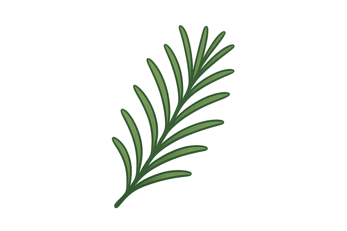 Green rosemary icon