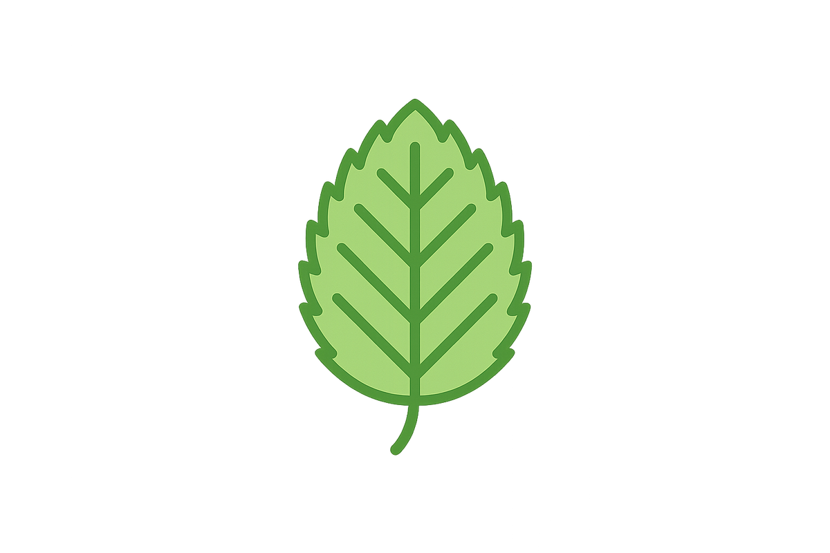 Peppermint Leaf Icon