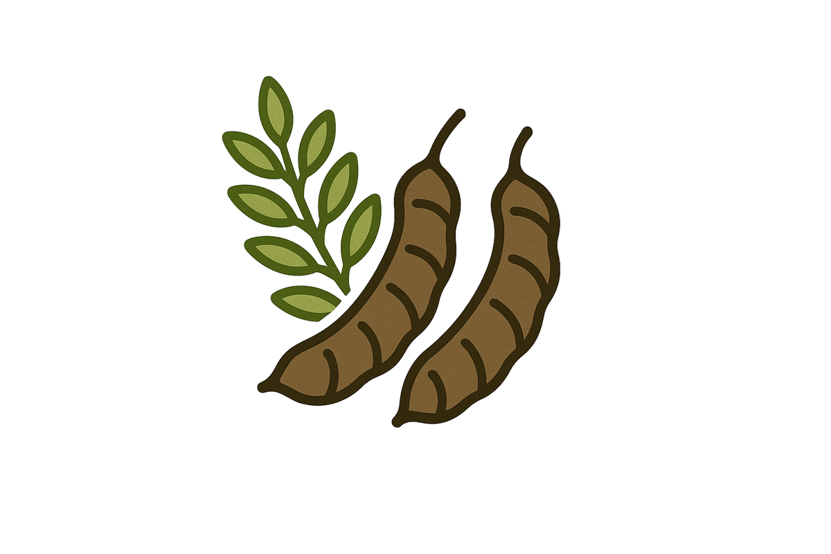Shikakai Icon