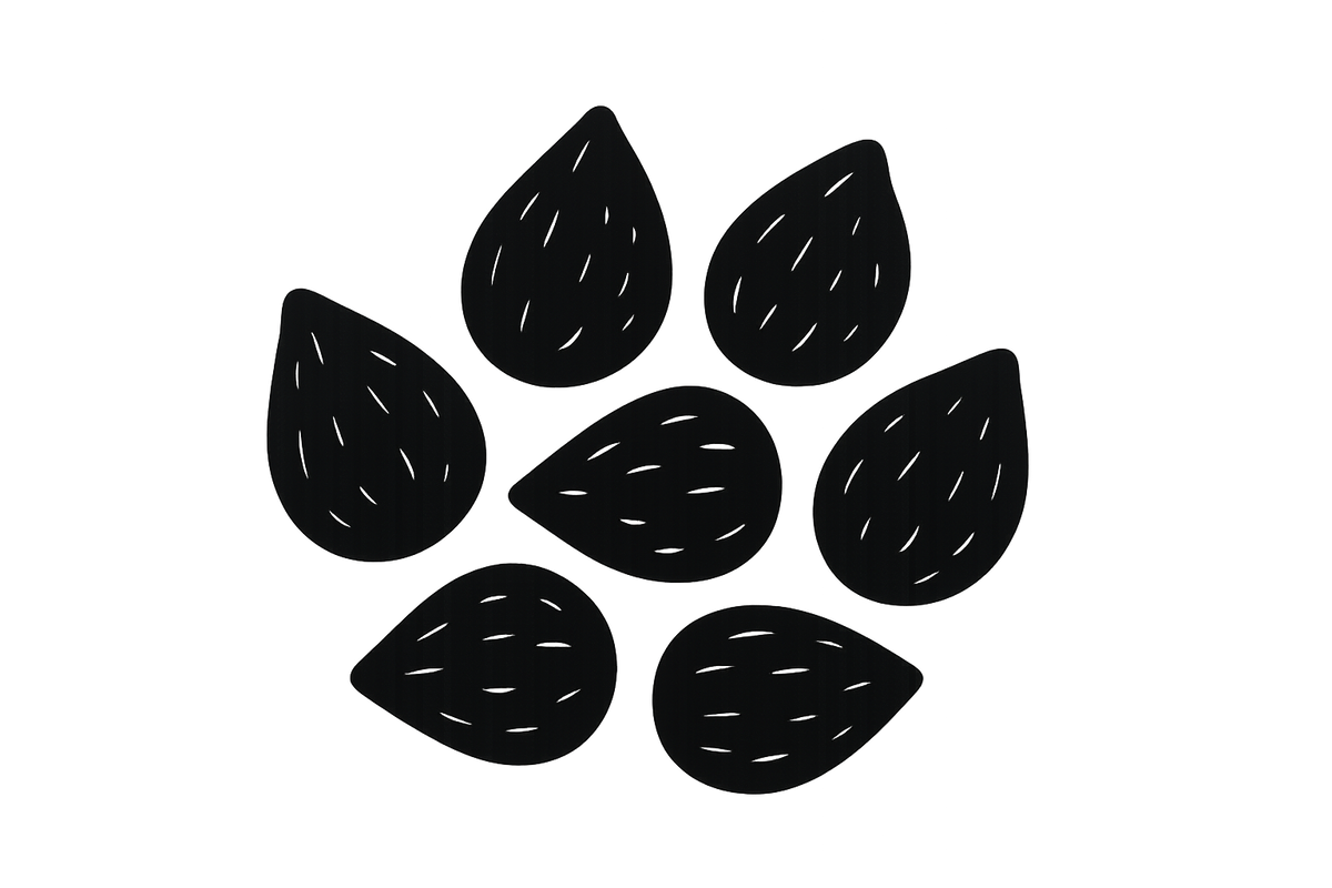 black cumin seed icon