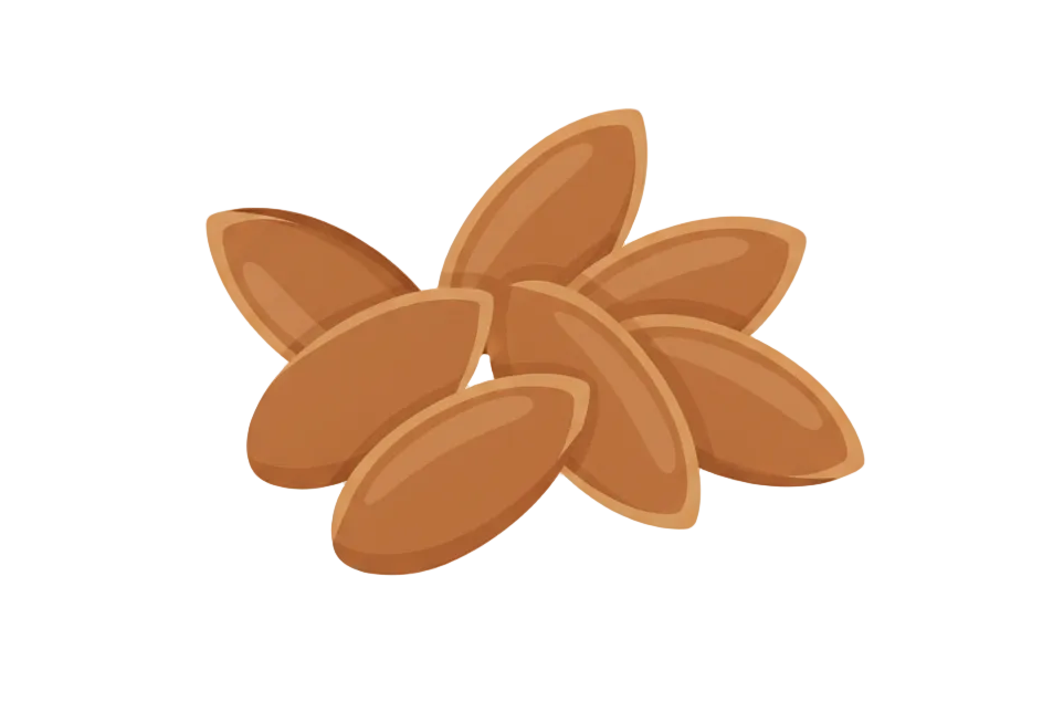 illustration of flaxseeds