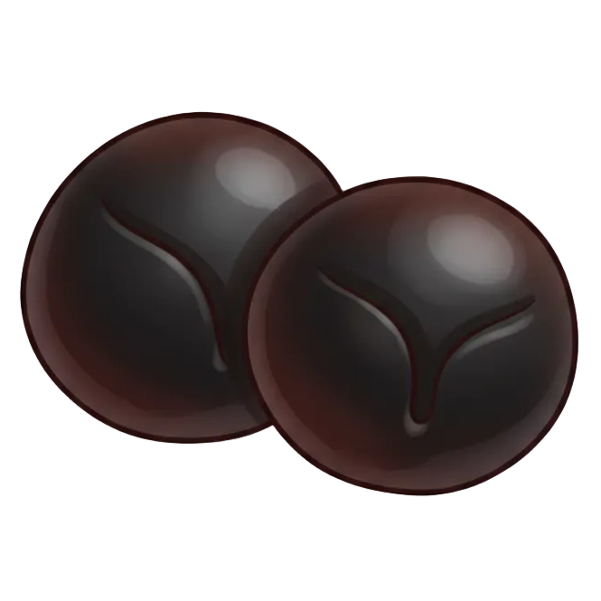 illustration of japanese camellia seeds