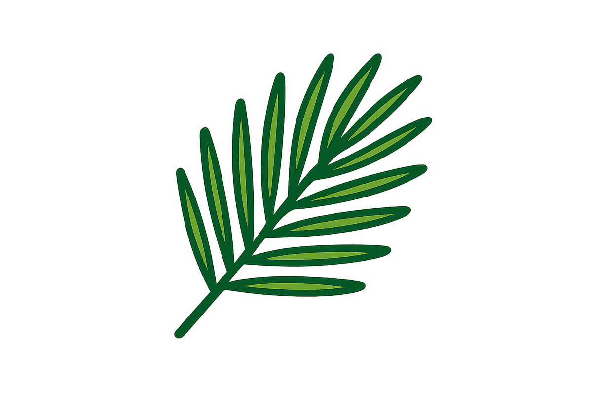 pine needle branch illustration