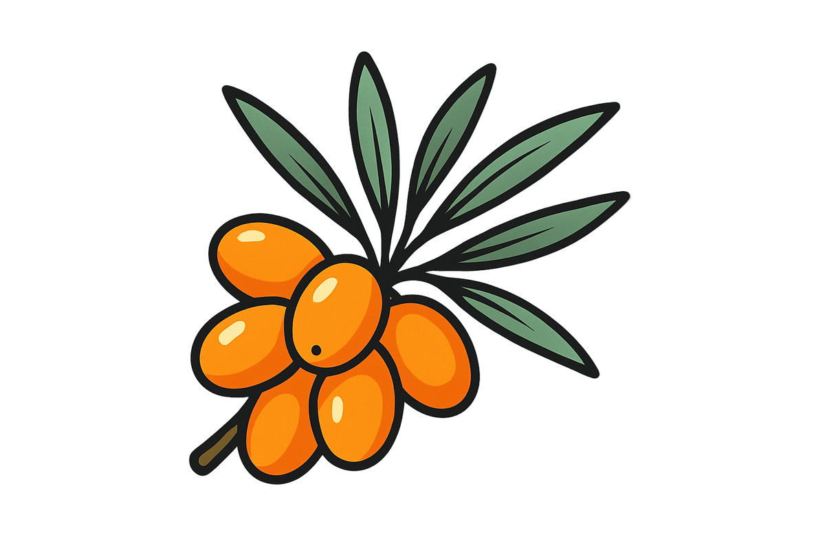 sea buckthorn fruit icon