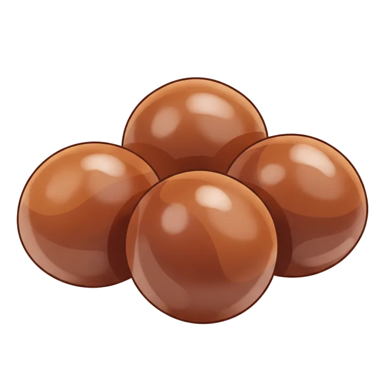 illustration of four tamanu seeds