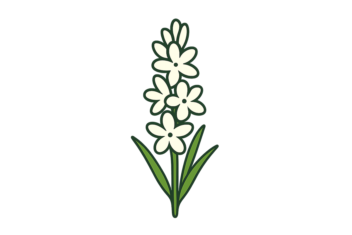 tuberose icon